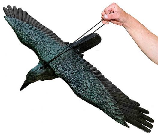 Galambriasztó varjú kitárt kék szárnyakkal - 81 cm szárnyfesztáv