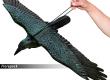 Galambriasztó varjú kitárt kék szárnyakkal - 81 cm szárnyfesztáv / 901160K
