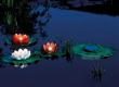 Pontec PondoSolar Lily LED Set 3 - Napelemes úszó LED világítás