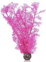 Biorb Legyezőkorall - közepes - rózsaszín