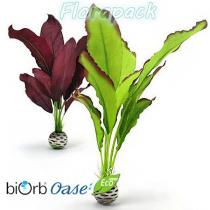 Biorb Vizi növény készlet - közép-zöld, lila / 46101