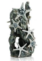 Biorb Tengeri csillagok sziklán - dekoráció