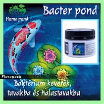 Home Pond Bacter Pond Baktérium kultúra - egészséges tóvizet teremt 100g 10m3