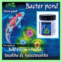 Home Pond Bacter Pond Baktérium kultúra - egészséges tóvizet teremt 300g 30m3