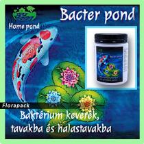 Home Pond Bacter Pond Baktérium kultúra - egészséges tóvizet teremt 500g 50m3