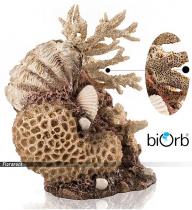 biOrb korall és kagyló - Natur akvárium dísz / 48360