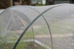 Rovar elleni védőháló Zöldséges kertekhez - 2x5m átlátszó, 38g/m2