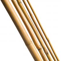 Bambusz növénytámasz 7db 90cm Ø8-10mm Natúr